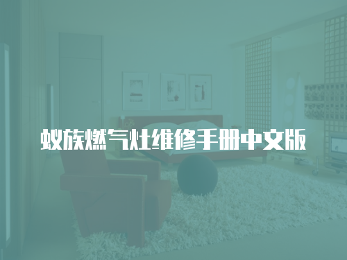 蟻族燃氣灶維修手冊中文版