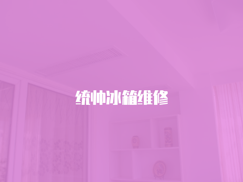統帥冰箱維修
