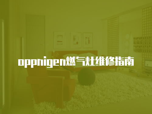 oppnigen燃?xì)庠罹S修指南