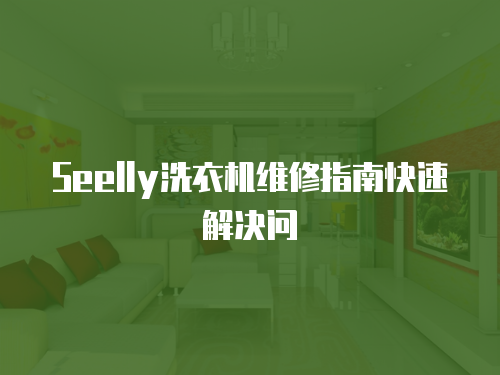 Seelly洗衣機(jī)維修指南快速解決問