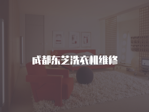 成都東芝洗衣機(jī)維修
