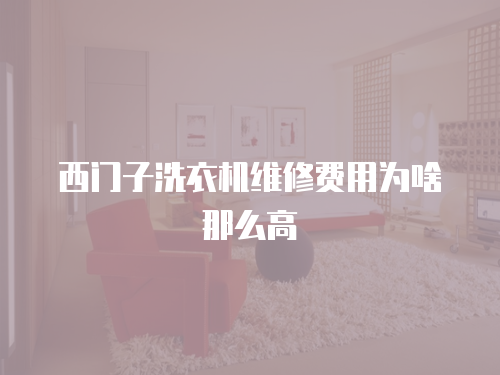 西門子洗衣機維修費用為啥那么高