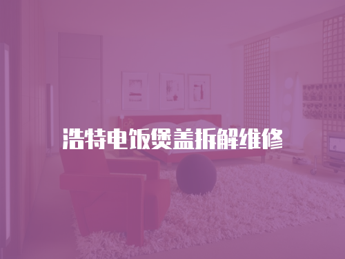 浩特電飯煲蓋拆解維修