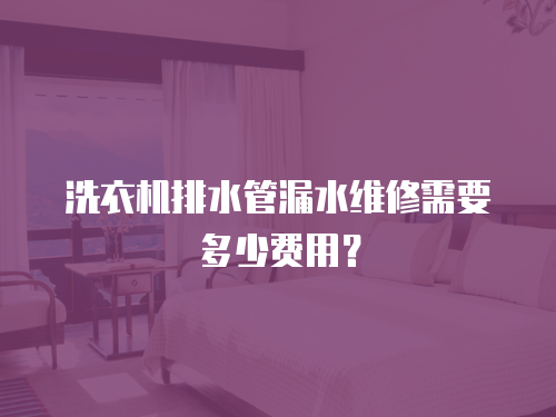 洗衣機排水管漏水維修需要多少費用？