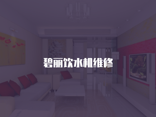 碧麗飲水機(jī)維修