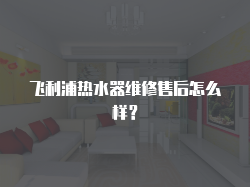 飛利浦熱水器維修售后怎么樣？
