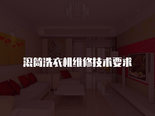 滾筒洗衣機維修技術要求