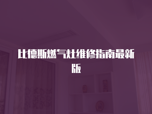 比德斯燃?xì)庠罹S修指南最新版