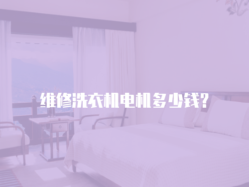 維修洗衣機(jī)電機(jī)多少錢？
