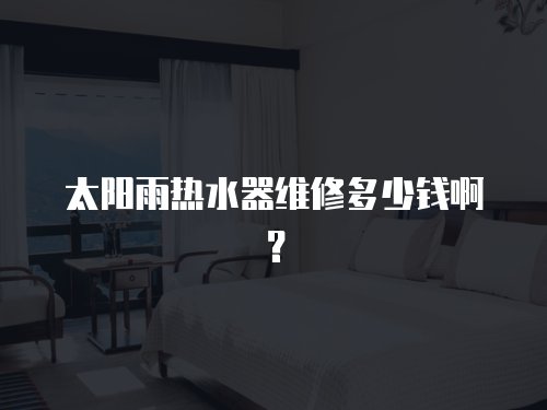 太陽雨熱水器維修多少錢啊？