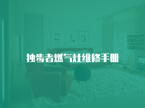 獨步者燃氣灶維修手冊