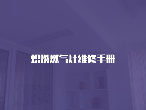 熾燃燃氣灶維修手冊