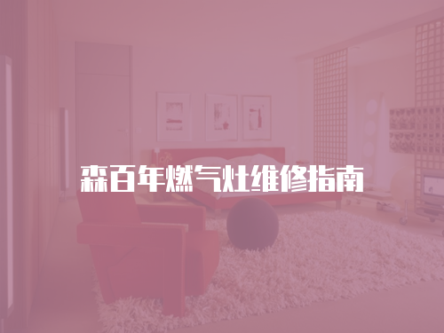 森百年燃?xì)庠罹S修指南