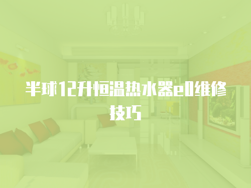 半球12升恒溫熱水器e0維修技巧