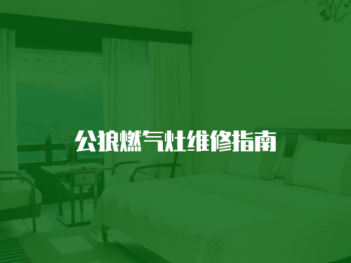 公狼燃氣灶維修指南