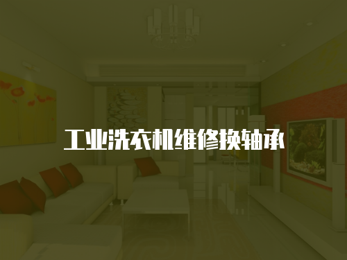 工業洗衣機維修換軸承