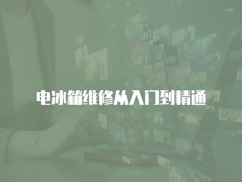 電冰箱維修從入門到精通