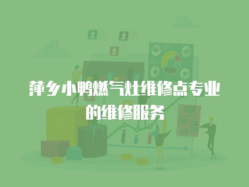 萍鄉(xiāng)小鴨燃?xì)庠罹S修點專業(yè)的維修服務(wù)