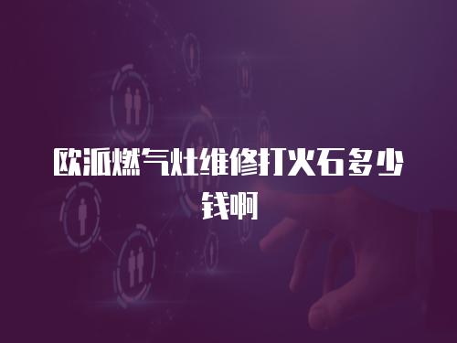 歐派燃氣灶維修打火石多少錢啊