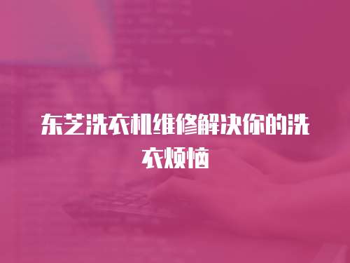 東芝洗衣機(jī)維修解決你的洗衣煩惱