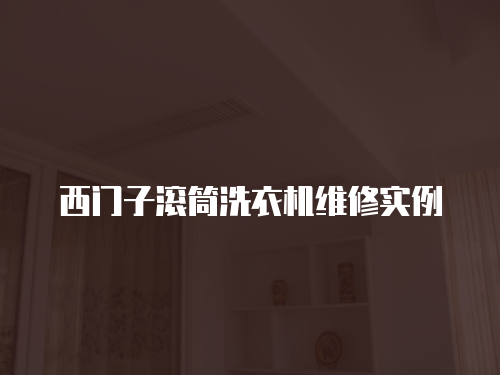 西門子滾筒洗衣機維修實例