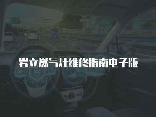 巖立燃?xì)庠罹S修指南電子版
