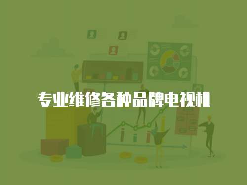 專業(yè)維修各種品牌電視機(jī)