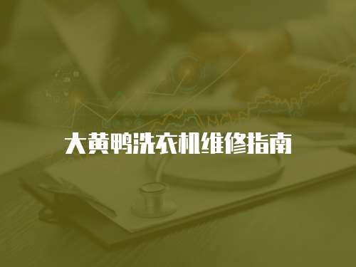 大黃鴨洗衣機維修指南