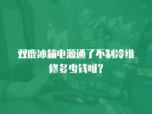 雙鹿冰箱電源通了不制冷維修多少錢呀？