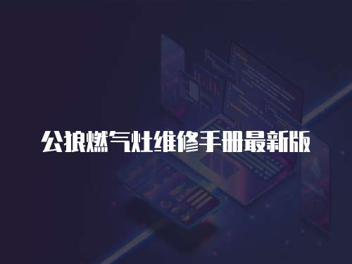 公狼燃氣灶維修手冊最新版