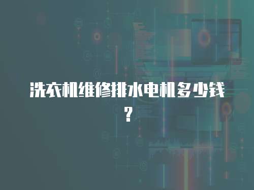 洗衣機維修排水電機多少錢？