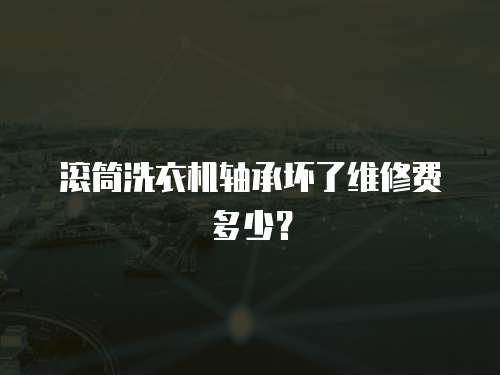 滾筒洗衣機軸承壞了維修費多少？