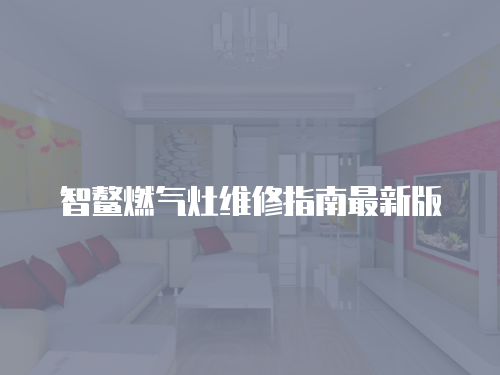 智鰲燃氣灶維修指南最新版