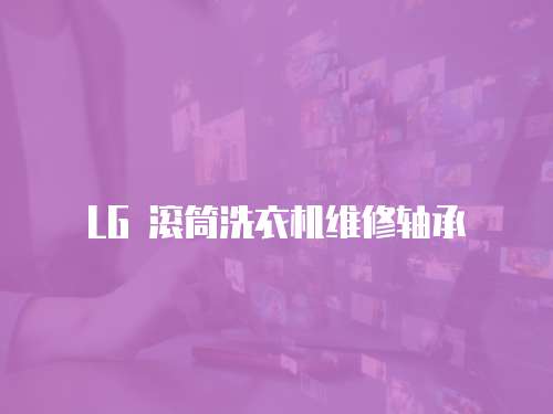 LG 滾筒洗衣機維修軸承