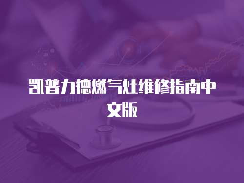 凱普力德燃氣灶維修指南中文版