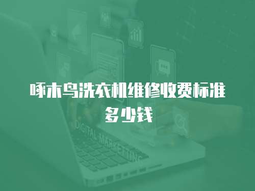 啄木鳥洗衣機維修收費標準多少錢