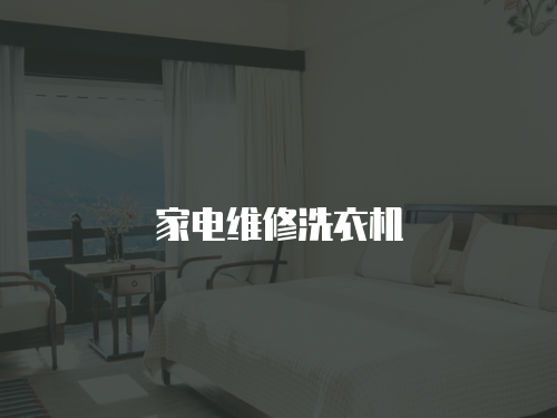 家電維修洗衣機(jī)