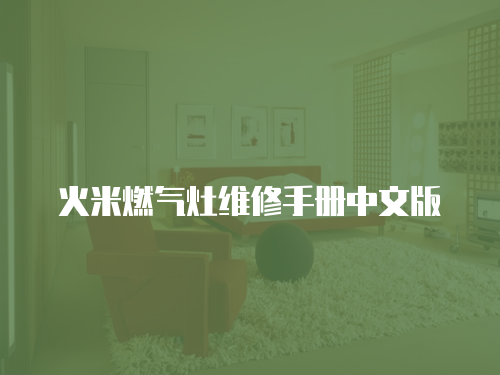 火米燃?xì)庠罹S修手冊(cè)中文版