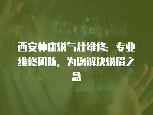 西安帥康燃?xì)庠罹S修：專業(yè)維修團(tuán)隊(duì)，為您解決燃眉之急
