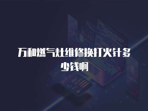萬和燃氣灶維修換打火針多少錢啊