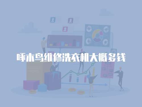 啄木鳥維修洗衣機(jī)大概多錢