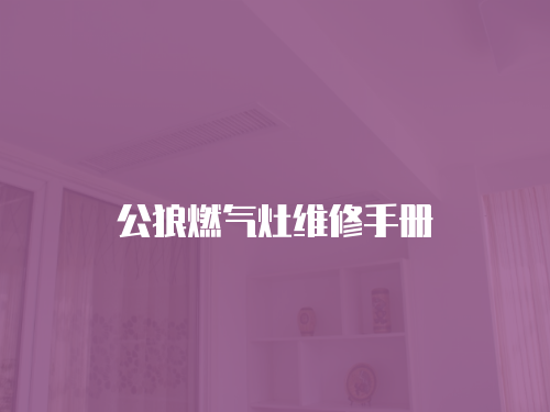 公狼燃氣灶維修手冊