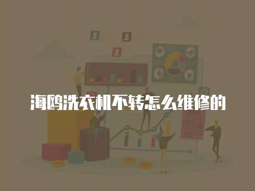 海鷗洗衣機不轉怎么維修的