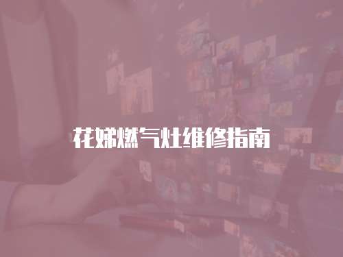 花娣燃?xì)庠罹S修指南