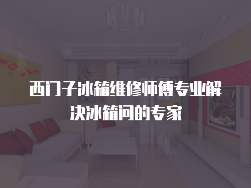 西門子冰箱維修師傅專業解決冰箱問的專家