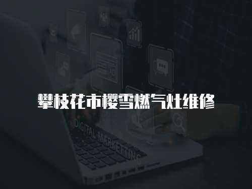 攀枝花市櫻雪燃?xì)庠罹S修