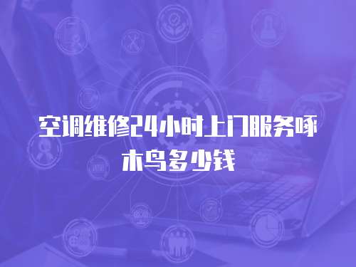 空調維修24小時上門服務啄木鳥多少錢