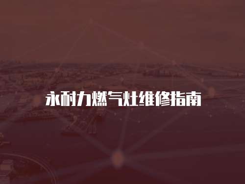 永耐力燃氣灶維修指南
