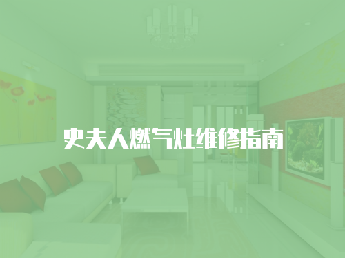 史夫人燃?xì)庠罹S修指南