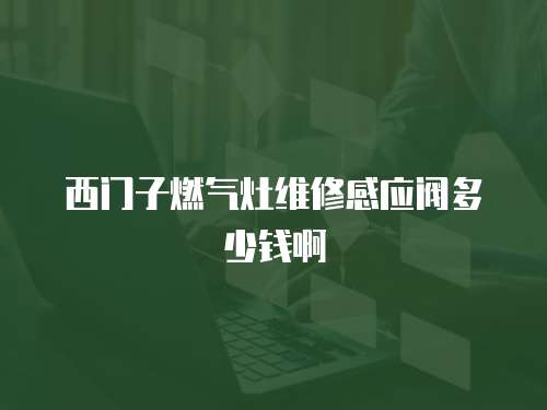 西門子燃?xì)庠罹S修感應(yīng)閥多少錢啊
